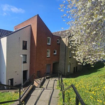 52 Watson Street, DD4 6BN